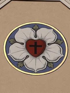Lutherrose